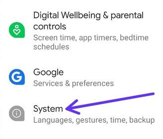 Go to System settings to use Developer mode Android 10