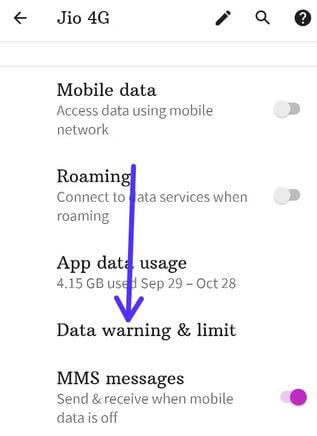 Pixel 4a data warning and limit settings to manage data usage