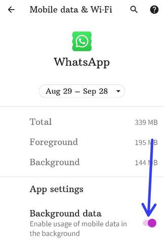 Restrict App Background Data Pixel 4a 5G Phone