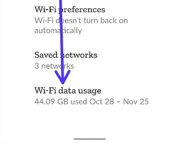 Android 11 WiFi data usage settings